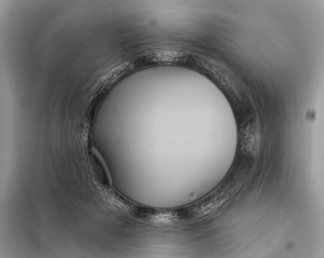 X0000098200505200805081114