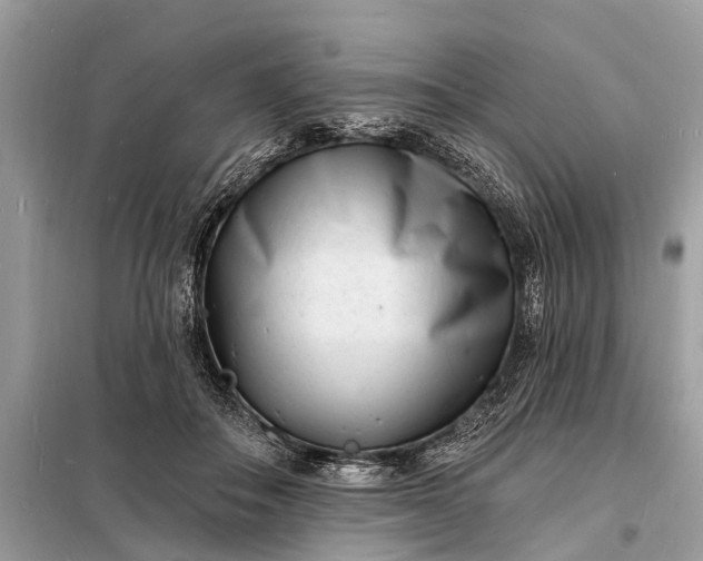 X0000098200506200805081114