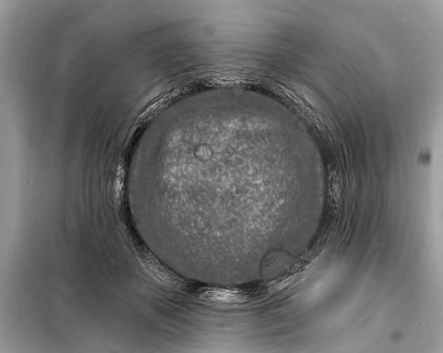 X0000098200507200805081114