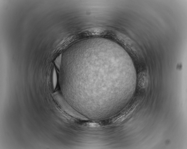 X0000098200509200805081114