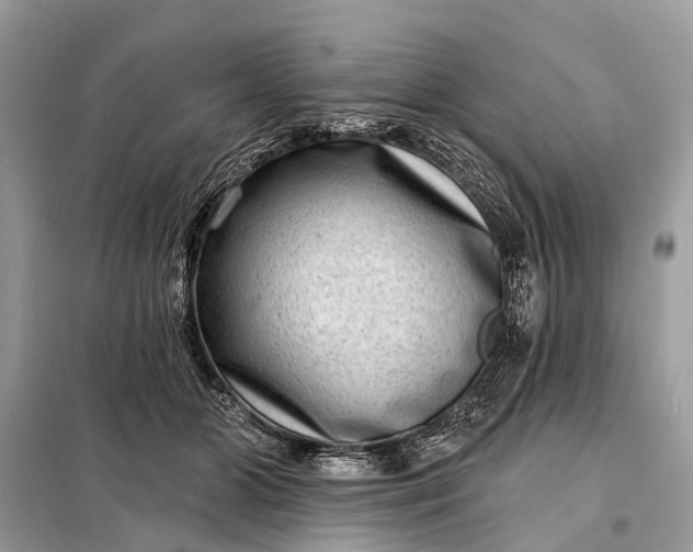 X0000098200510200805081114