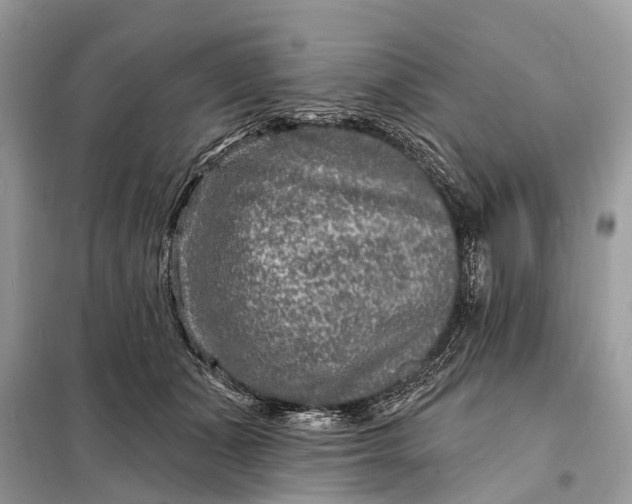 X0000098200511200805081114