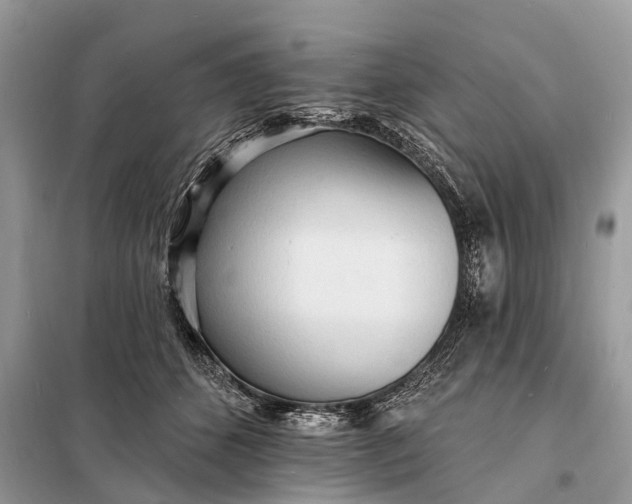 X0000098200512200805081114