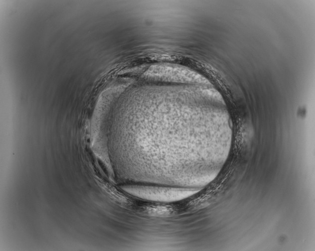 X0000098200513200805081114