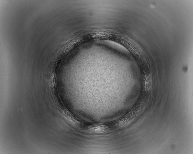 X0000098200514200805081114