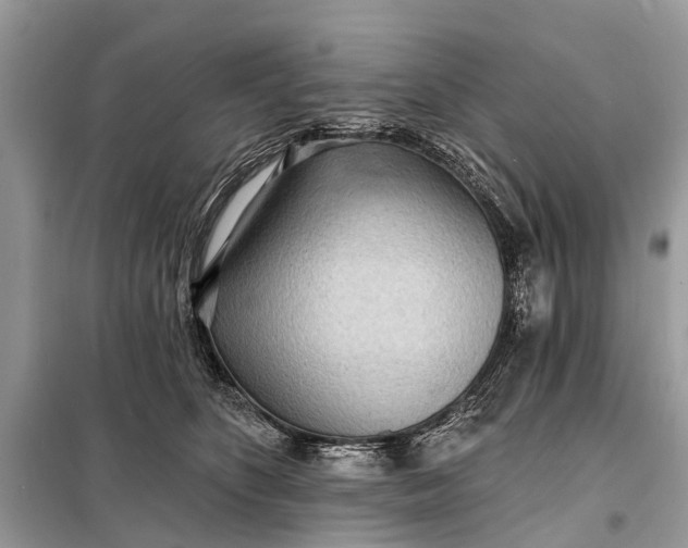 X0000098200516200805081114