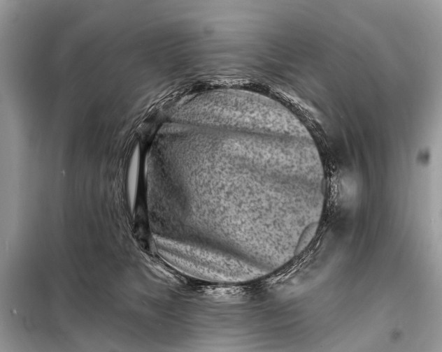 X0000098200517200805081114