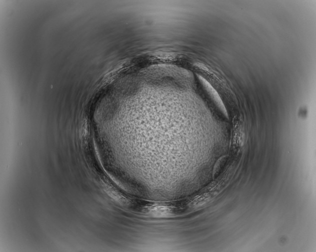 X0000098200518200805081114
