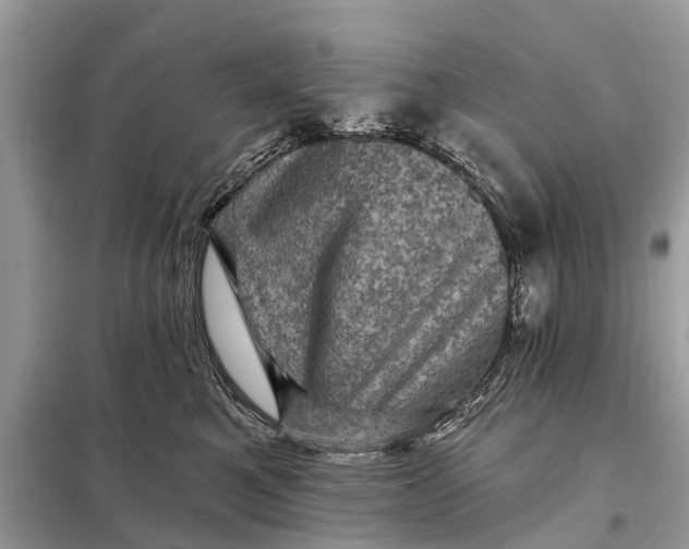 X0000098200521200805081114