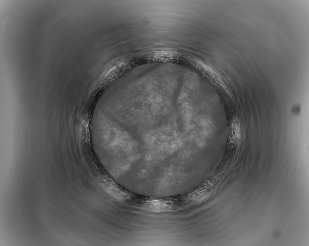 X0000098200522200805081114