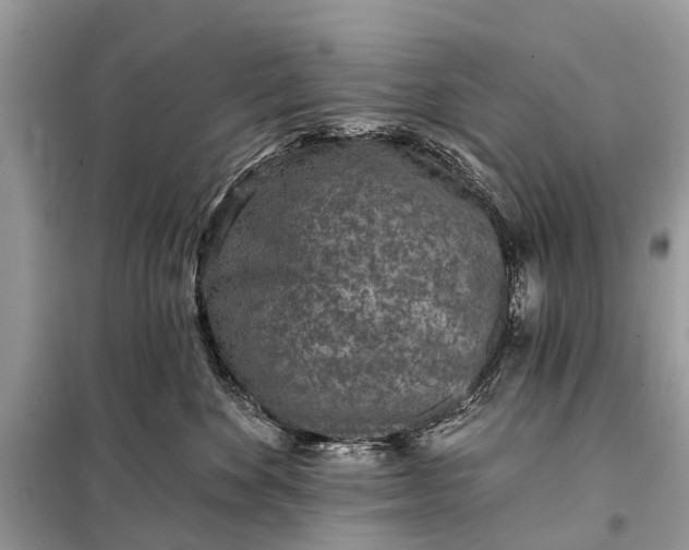 X0000098200524200805081114