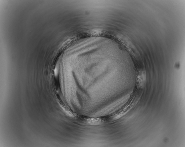 X0000098200525200805081114