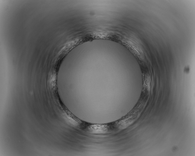 X0000098200526200805081114