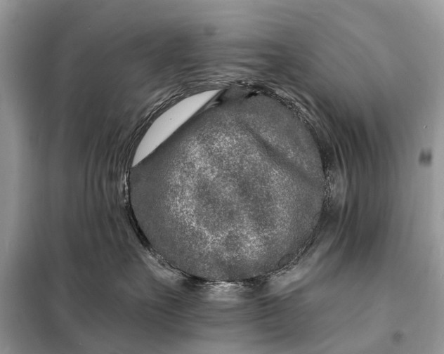 X0000098200527200805081114
