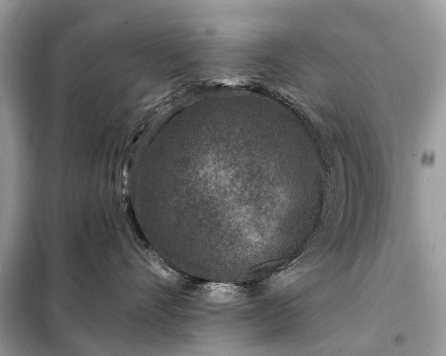 X0000098200528200805081114