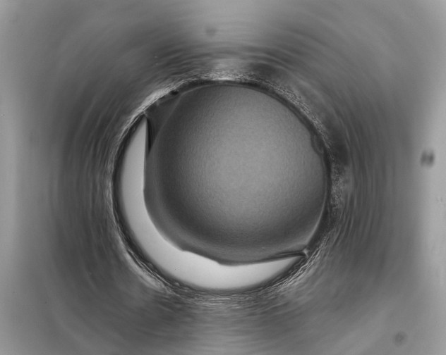 X0000098200530200805081113