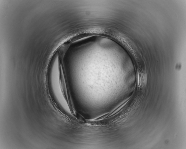 X0000098200531200805081113