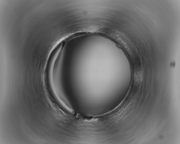 X0000098200532200805081113