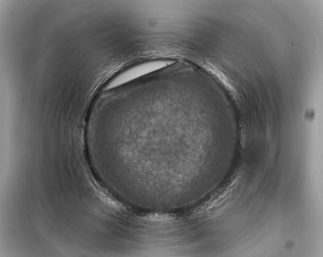 X0000098200537200805081114