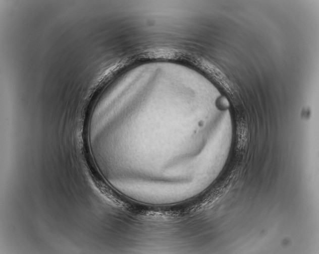 X0000098200538200805081114