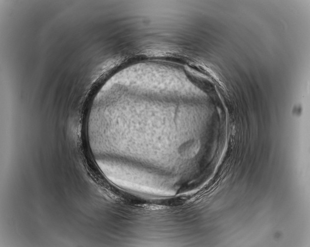 X0000098200539200805081114