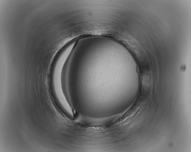 X0000098200540200805081114
