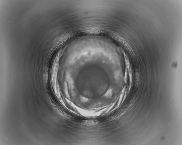 X0000098200541200805081114