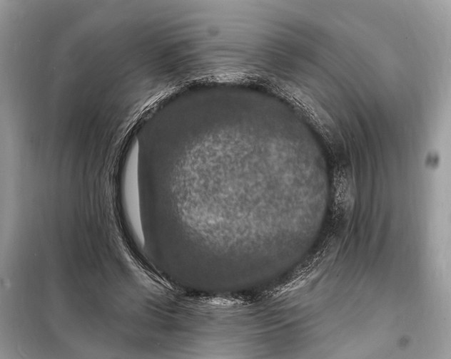 X0000098200542200805081114