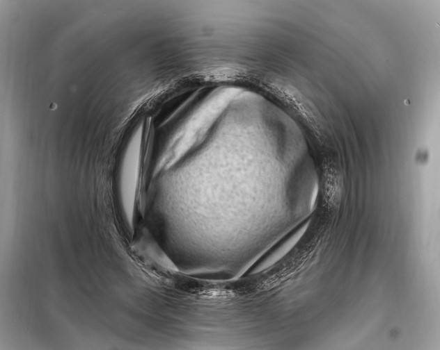 X0000098200543200805081114