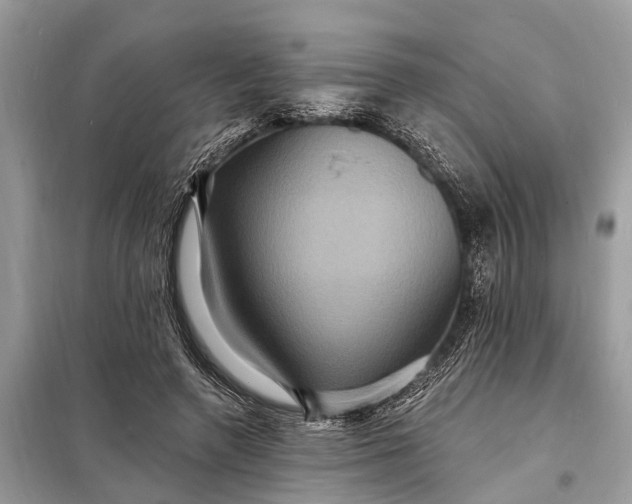 X0000098200546200805081114