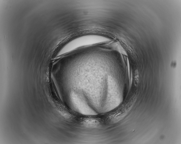 X0000098200547200805081114