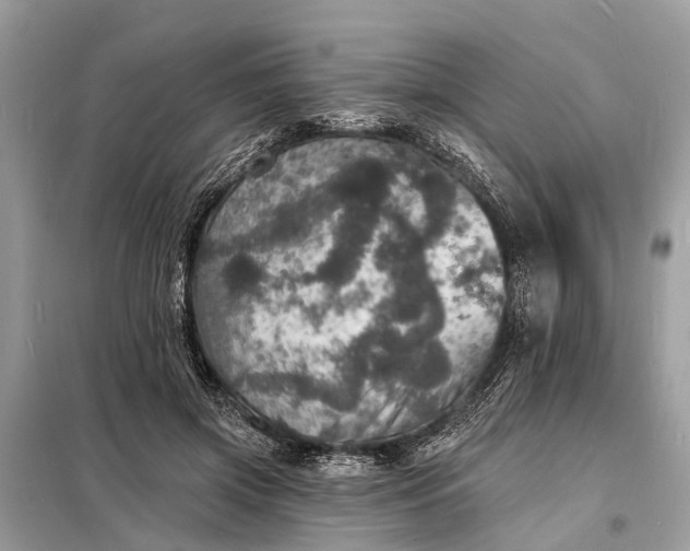 X0000098200549200805081114