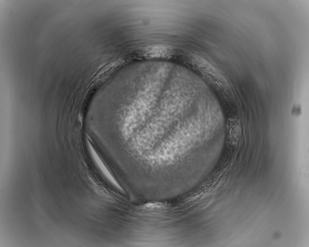 X0000098200550200805081114