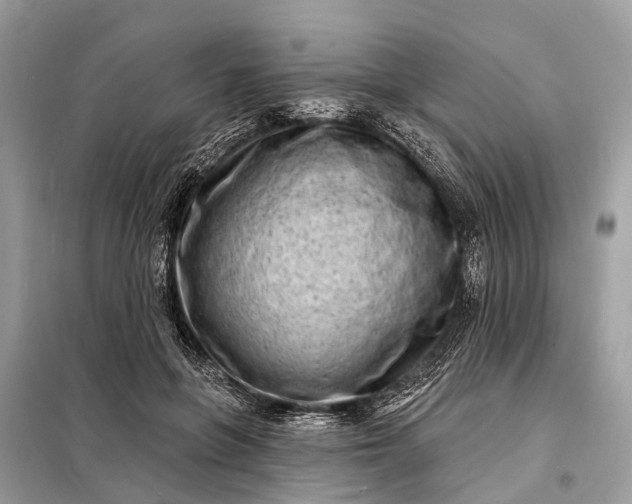 X0000098200551200805081114