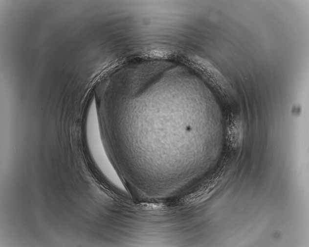 X0000098200552200805081114