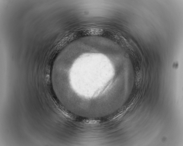 X0000098200553200805081114