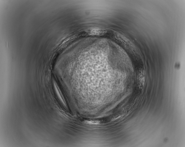 X0000098200554200805081114