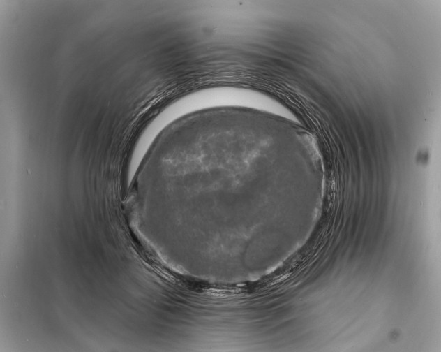 X0000098200556200805081114