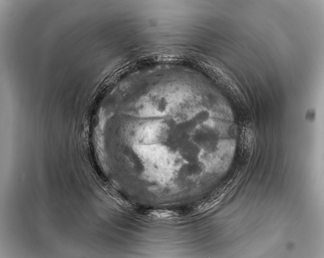 X0000098200557200805081114