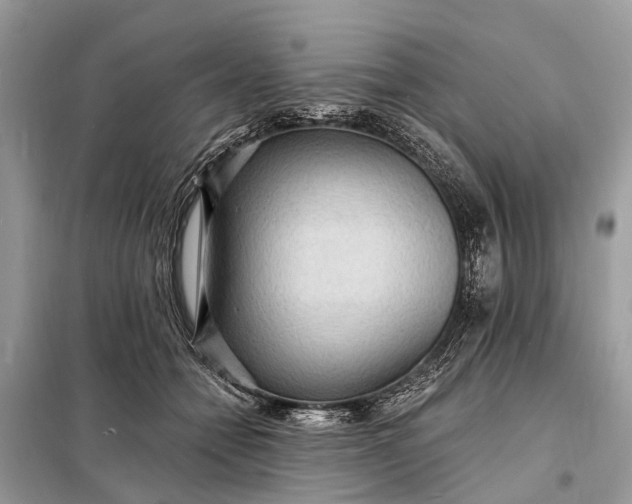 X0000098200558200805081114