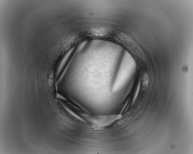 X0000098200559200805081114