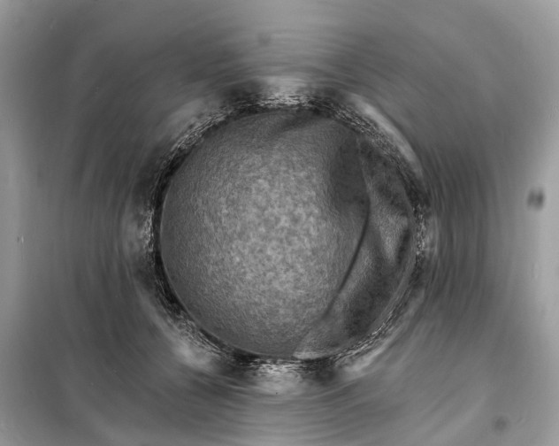 X0000098200560200805081114