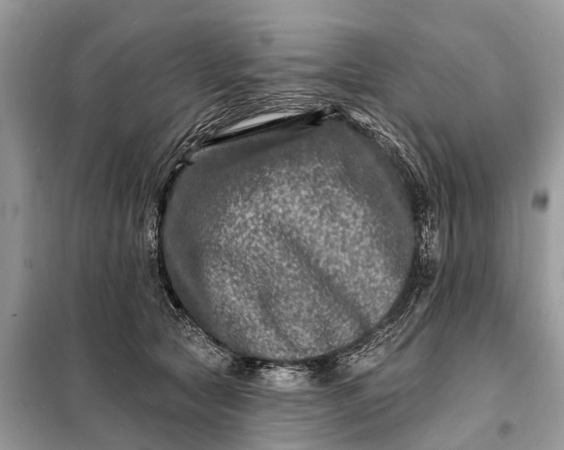 X0000098200561200805081114