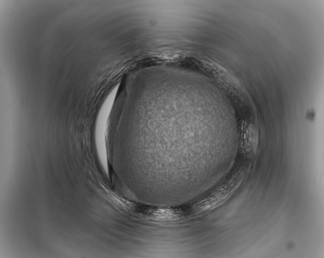 X0000098200562200805081114