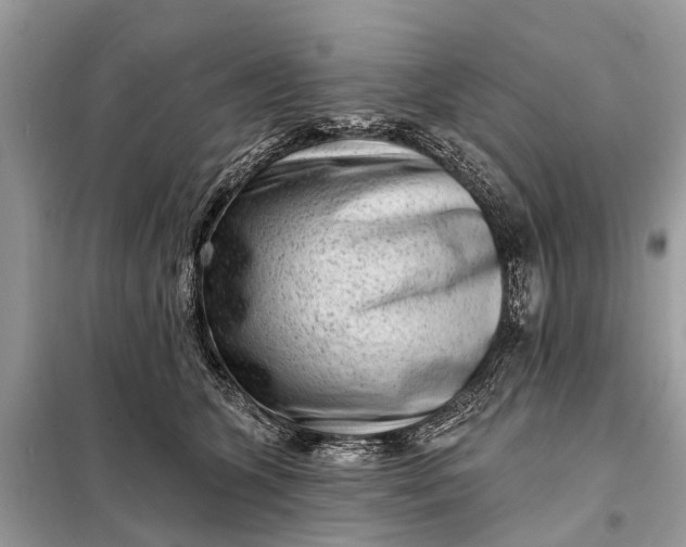 X0000098200563200805081114