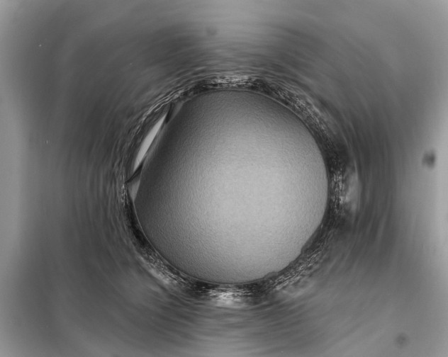 X0000098200564200805081114