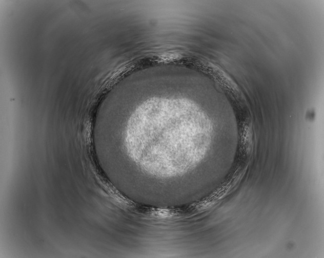 X0000098200565200805081114