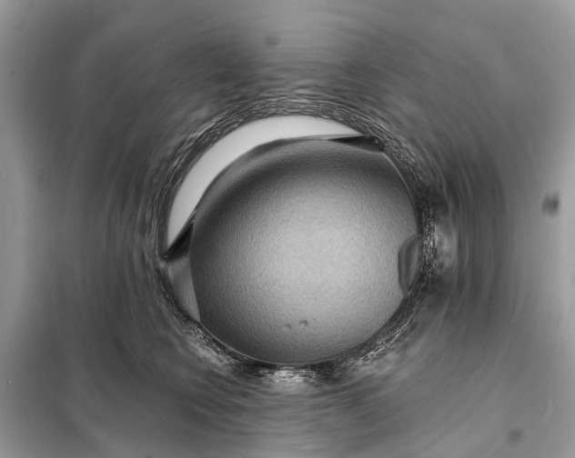 X0000098200566200805081114
