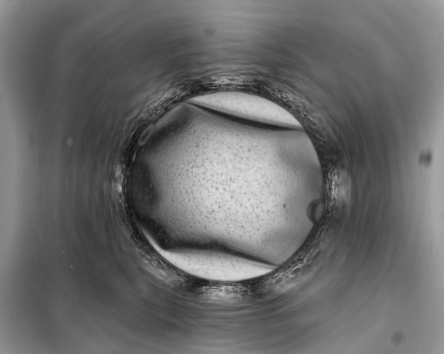 X0000098200567200805081114