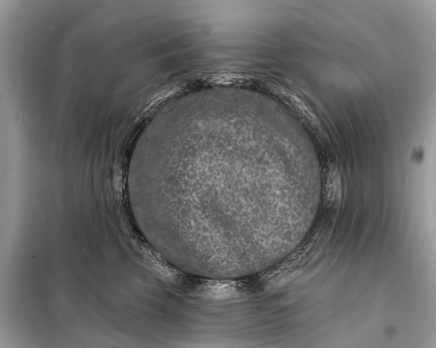 X0000098200569200805081114